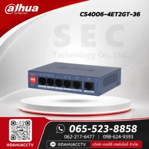 DH-CS4006-4ET2GT-36