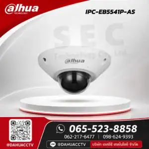 DH-IPC-EB5541P-AS