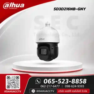 DH-SD3D216NB-GNY