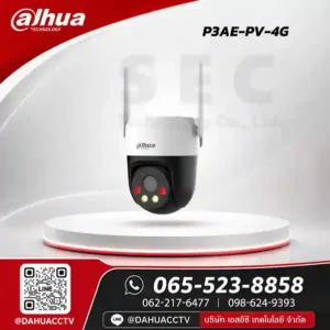 DH-P3AE-PV-4G